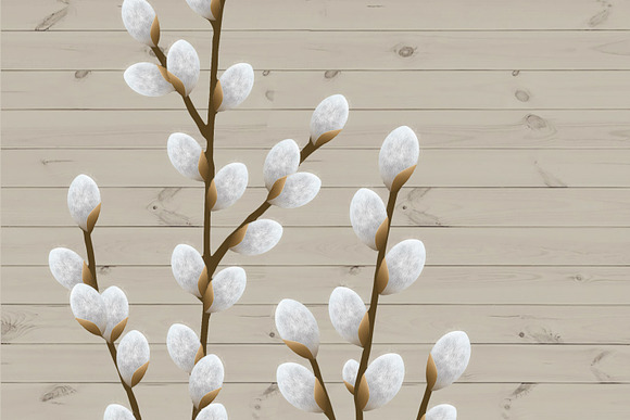 Pussy Willow Clipart in Illustrations - product preview 2