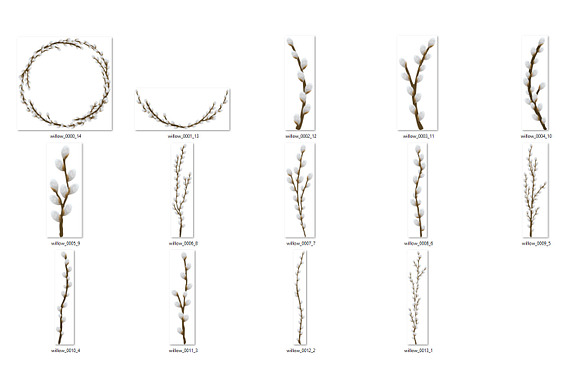 Pussy Willow Clipart in Illustrations - product preview 3