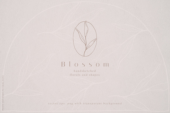 Blossom Sketched Florals & Shapes in Illustrations - product preview 4