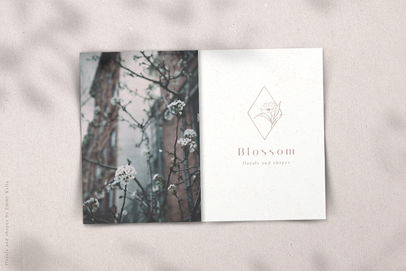 Blossom Sketched Florals & Shapes in Illustrations - product preview 9
