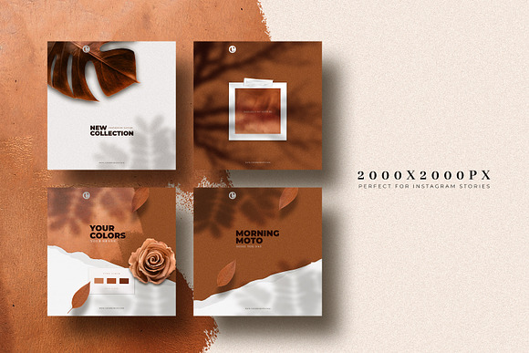 Copper - Social Media Templates in Instagram Templates - product preview 2