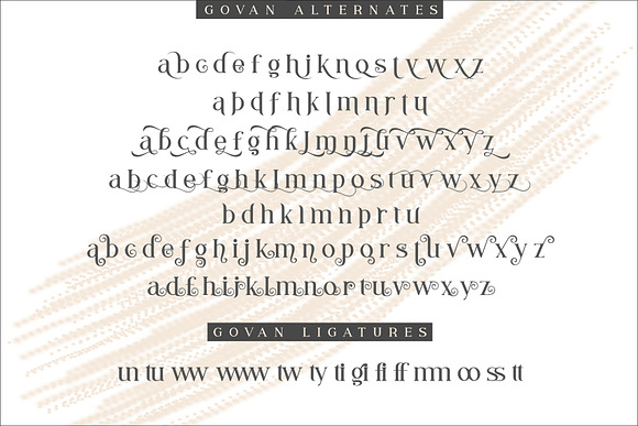 Syailendra - Modern Serif With Tail in Serif Fonts - product preview 11