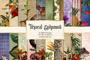 Tropical Ephemera Digital Paper