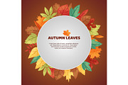 Autumn leaves poster vector