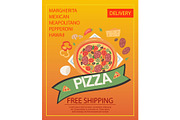 Pizza delivery poster vector