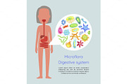 Microflora Digestive System Vector