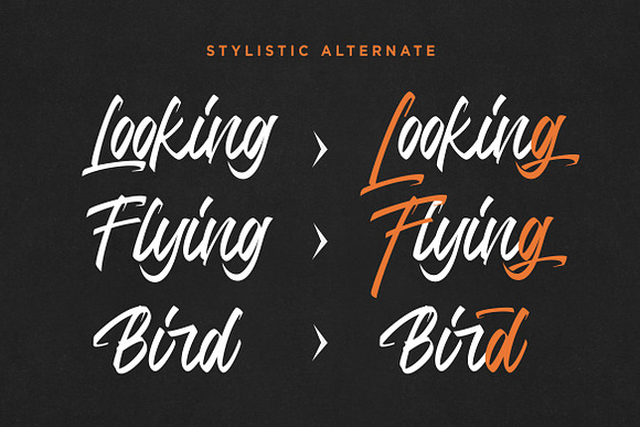 Jump Steady Script in Script Fonts - product preview 6