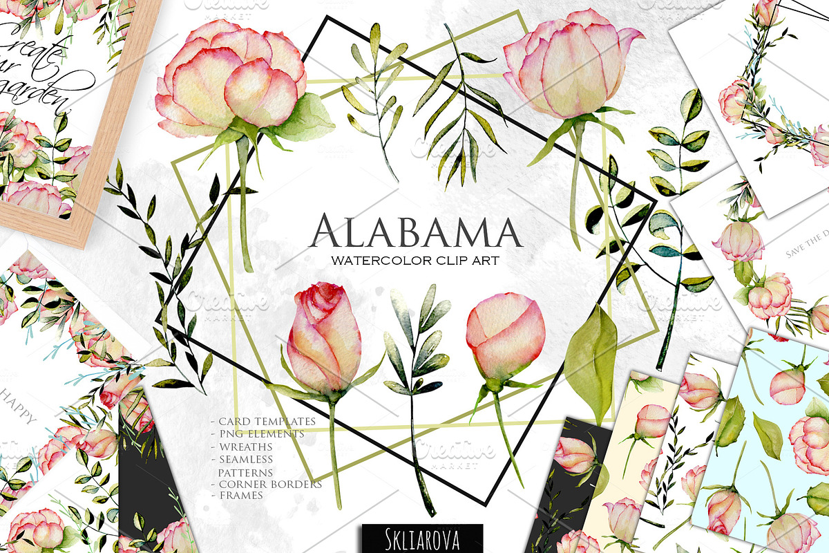 Alabama. Roses watercolor clipart. in Illustrations - product preview 8