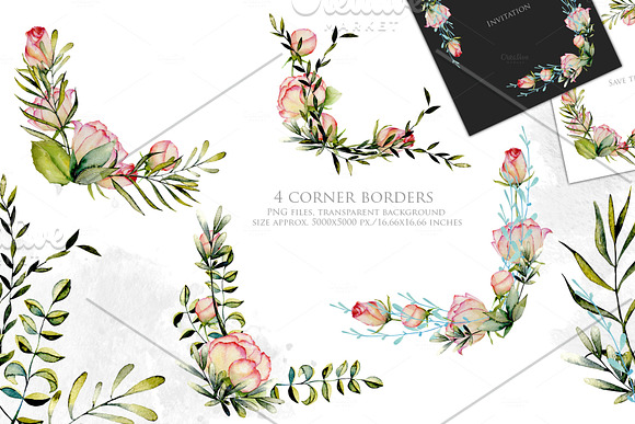 Alabama. Roses watercolor clipart. in Illustrations - product preview 2