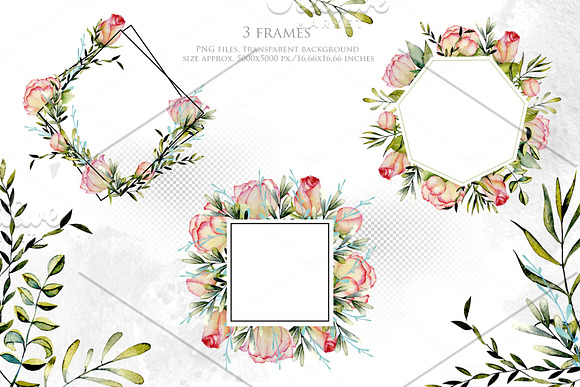 Alabama. Roses watercolor clipart. in Illustrations - product preview 3
