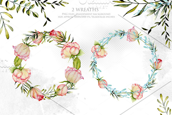 Alabama. Roses watercolor clipart. in Illustrations - product preview 4