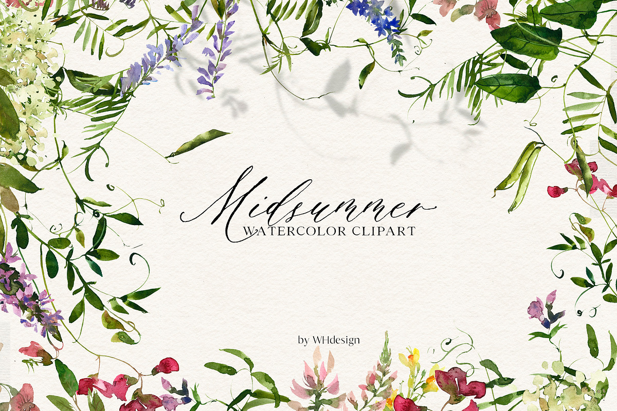 Midsummer - field flowers clipart in Illustrations - product preview 8
