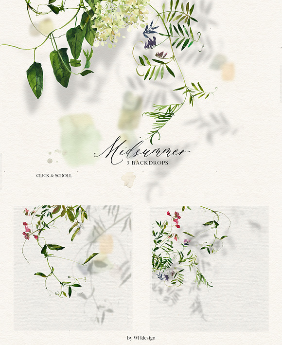 Midsummer - field flowers clipart in Illustrations - product preview 1