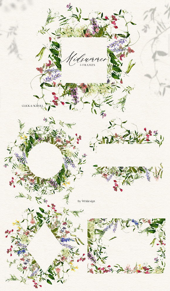 Midsummer - field flowers clipart in Illustrations - product preview 3