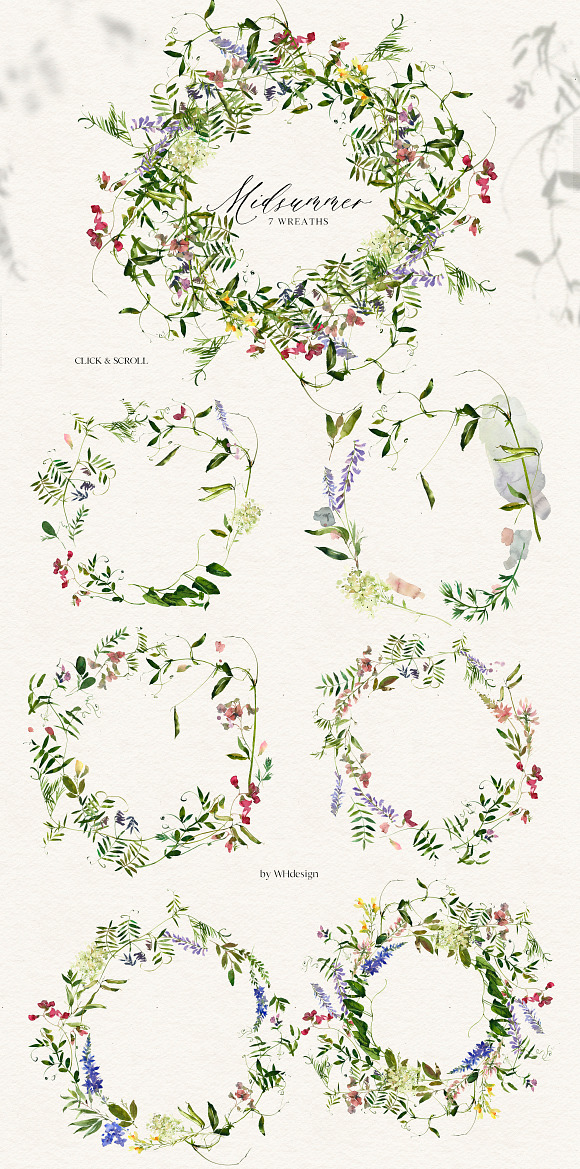 Midsummer - field flowers clipart in Illustrations - product preview 6