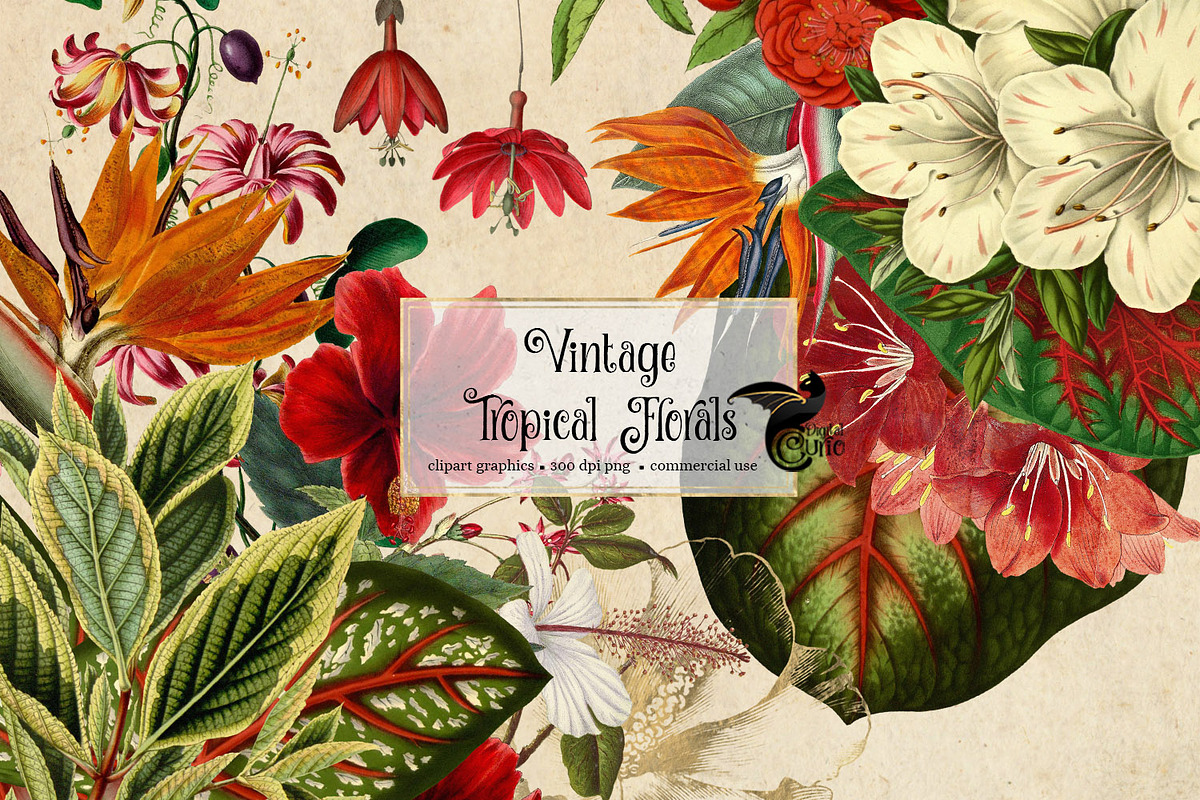 Vintage Tropical Floral Clipart in Illustrations - product preview 8