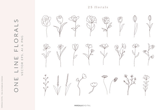 One Line Botanical Drawings in Illustrations - product preview 2