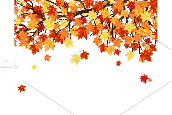 Set of 4 Autumn  Frame in Illustrations - product preview 3