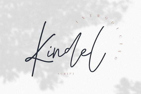 Kindel - Completed Collection in Serif Fonts - product preview 24