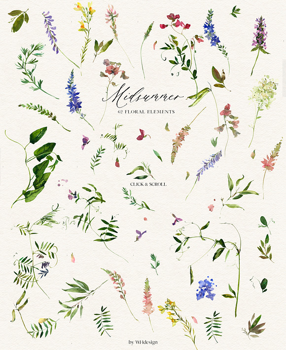 Midsummer - field flowers clipart in Illustrations - product preview 11