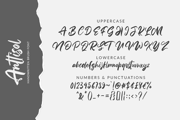 Anttisol - Handwritten Brush Font in Script Fonts - product preview 9