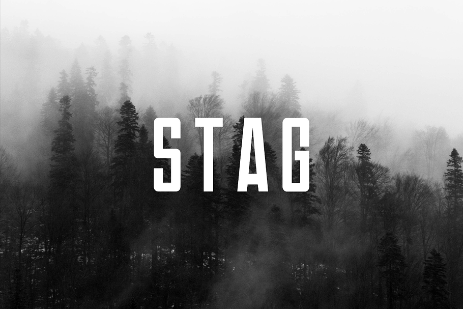 STAG - Display / Headline Typeface