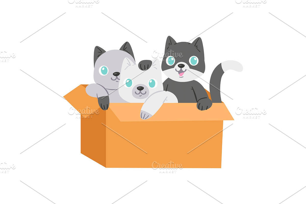 Cat in box vector kitty pet in Illustrations - product preview 8