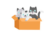 Cat in box vector kitty pet
