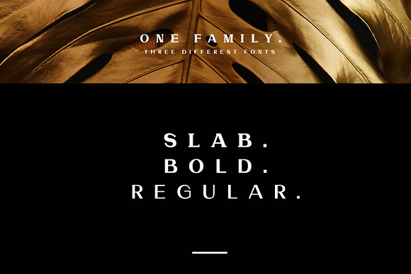 Torres Font Family in Serif Fonts - product preview 2