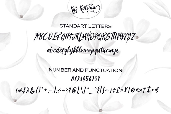 Kity Katrina Script Font in Script Fonts - product preview 13