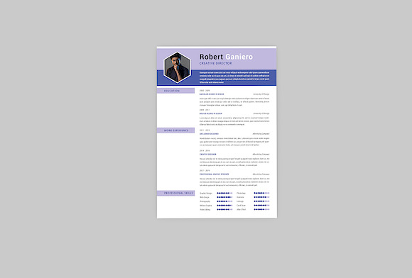 CV Combo Resume Designer in Resume Templates - product preview 2