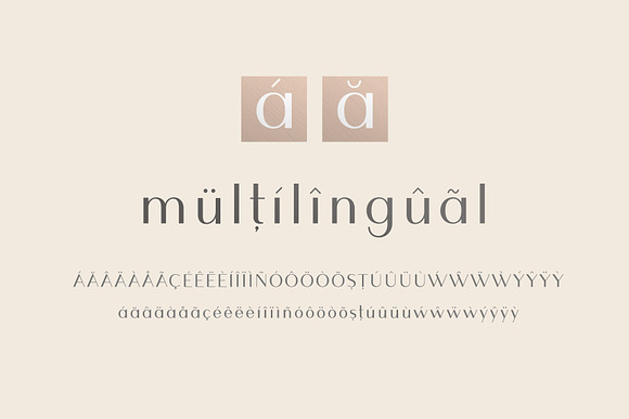 Finnmark - Elegant Sans Typeface in Sans-Serif Fonts - product preview 5
