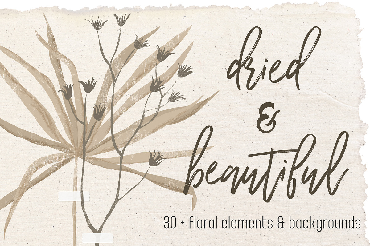 Dried flowers and backgrounds in Objects - product preview 8