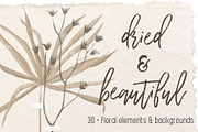 Dried flowers and backgrounds