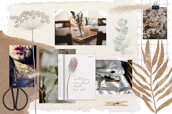 Dried flowers and backgrounds in Objects - product preview 1