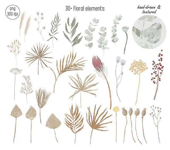 Dried flowers and backgrounds in Objects - product preview 2
