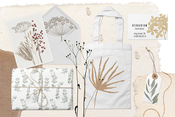 Dried flowers and backgrounds in Objects - product preview 5