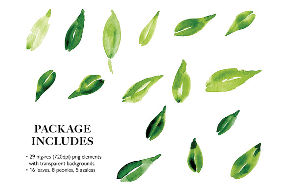 Watercolor Peonies & Leaves in Objects - product preview 1