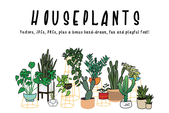 Houseplants Bundle! in Illustrations - product preview 3
