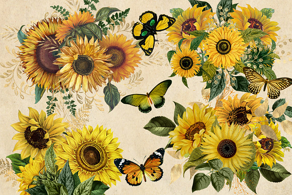 Gold Sunflower Bouquets in Illustrations - product preview 1