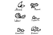 Nuts. Vector Hand drawn objects