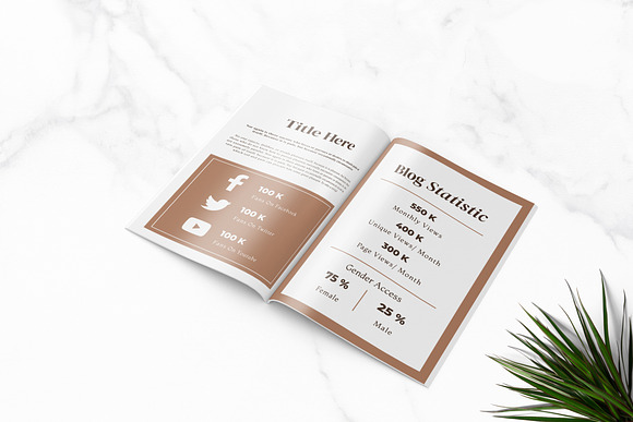 Fashion Media Kit Template in Brochure Templates - product preview 3