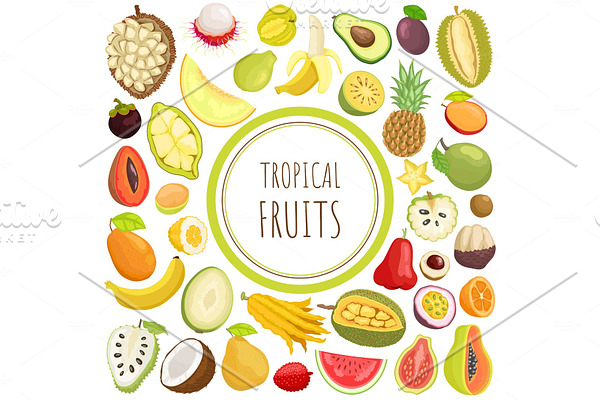 Tropical Fruits Exotic Meal Avocado