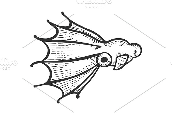 Vampire squid sea animal sketch