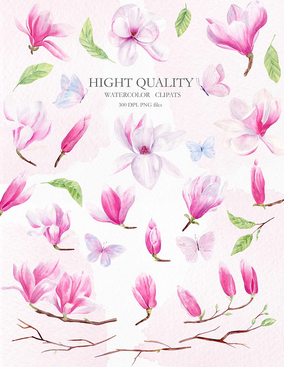 Magnolia Floral Watercolor Clipart in Illustrations - product preview 1