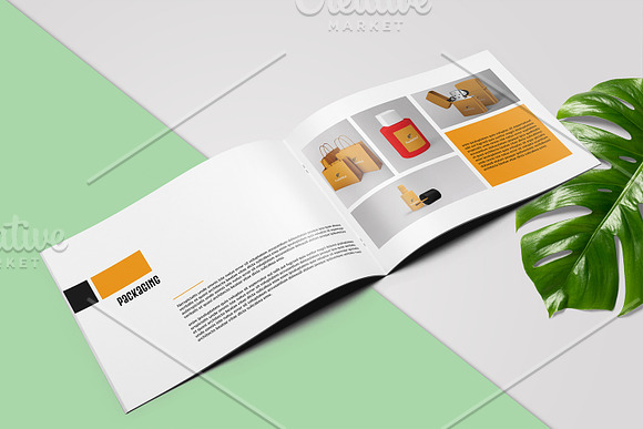 Multipurpose Portfolio V895 in Brochure Templates - product preview 6