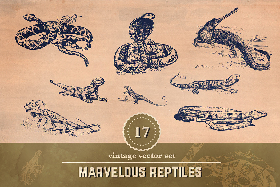 17 Vintage Reptile Illustrations