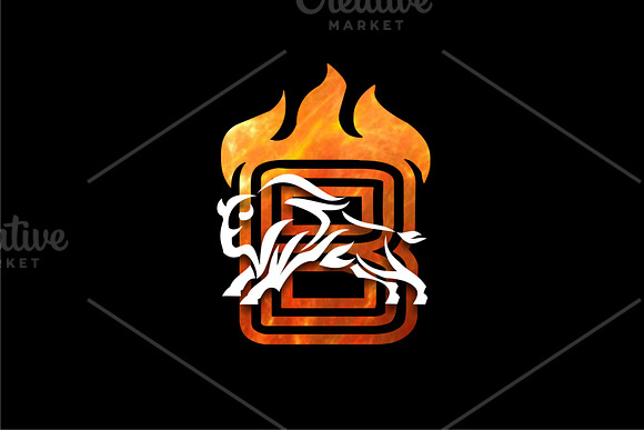 Bull Flames in Logo Templates - product preview 5