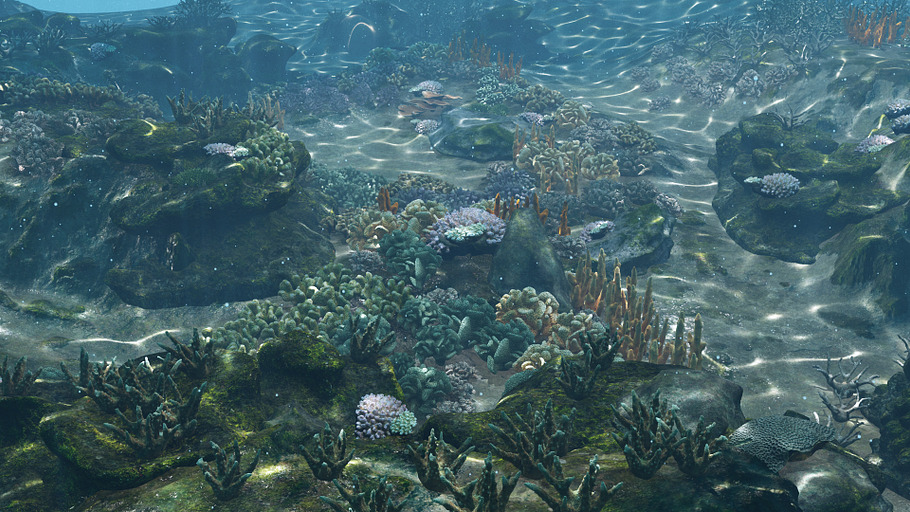 Underwater Coral Reef Habitat Ocean in Nature - product preview 2
