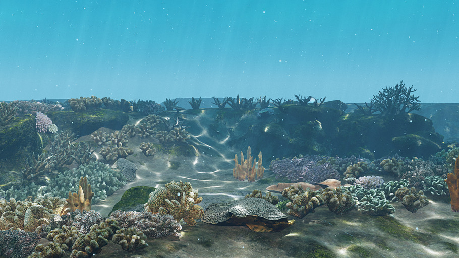 Underwater Coral Reef Habitat Ocean in Nature - product preview 6